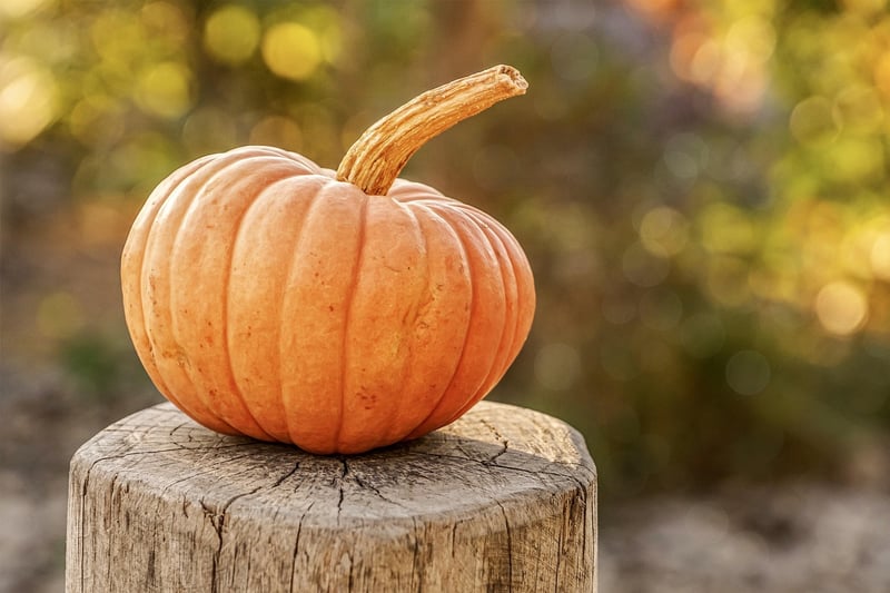 Fall Harvesting Guide