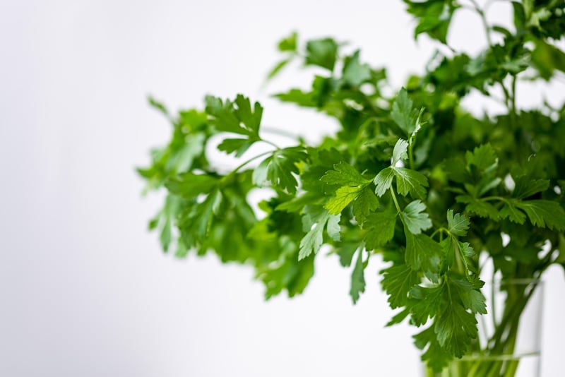 Herb Garden Wall
