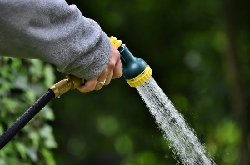 Summer Watering Tips